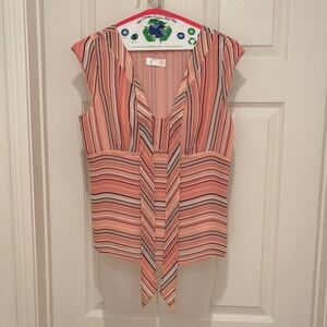 Ann Taylor Factory Pink and Black Striped Blouse